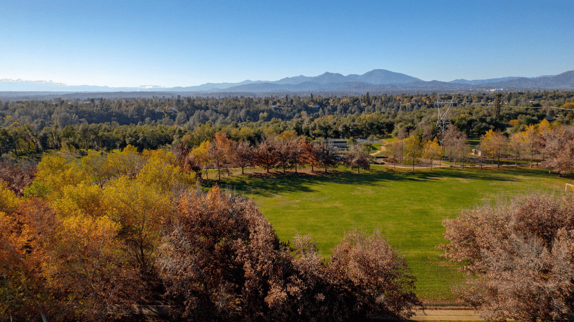 Commercial Assets 16